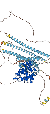 RALBP1 3D structure