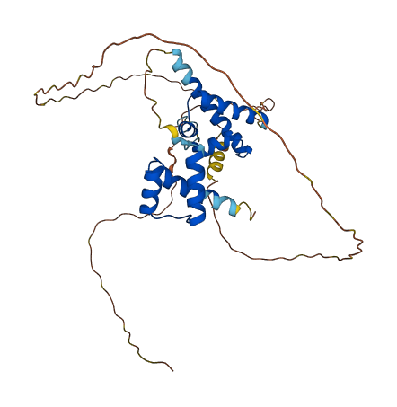 POU4F3 3D structure