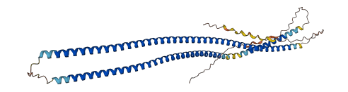 KRT31 3D structure