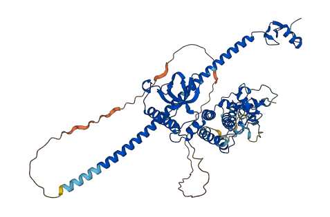 ZMYND11 3D structure