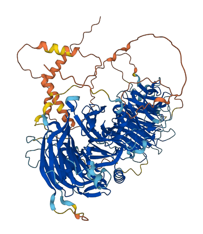LLGL1 3D structure