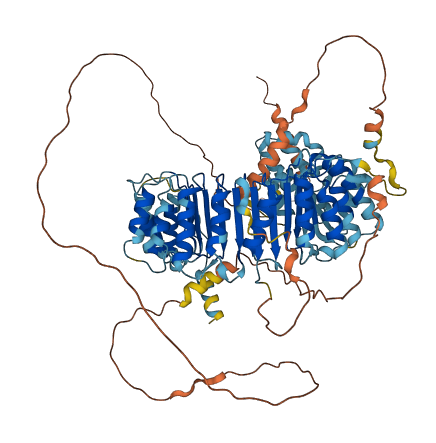 LRRC41 3D structure