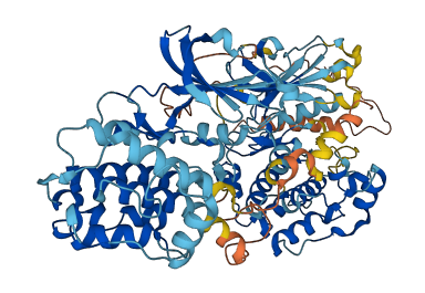 RPS6KA2 3D structure