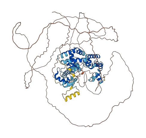 TTF1 3D structure