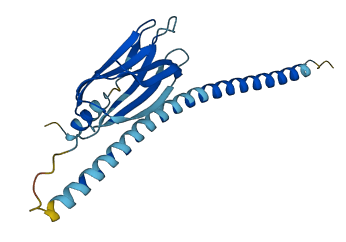 TMED2 3D structure