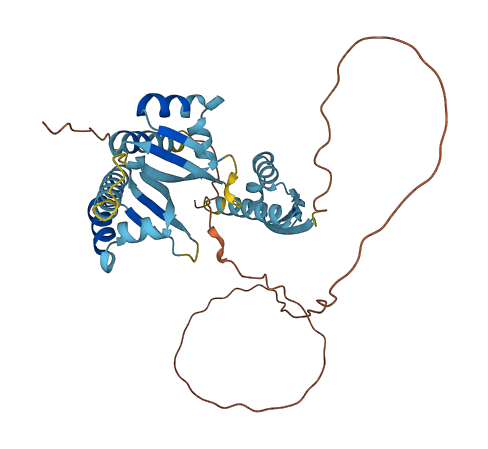 PCBP1 3D structure