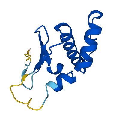 ELOC 3D structure