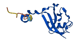 ELOB 3D structure