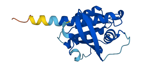 RHEB 3D structure