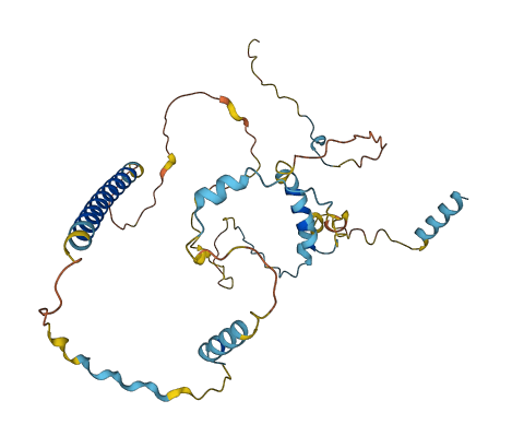 MTFR1 3D structure