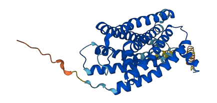 P2RY14 3D structure