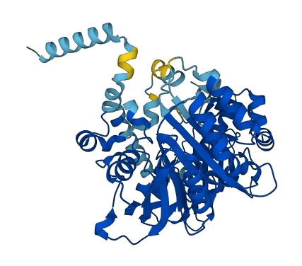 DHCR24 3D structure