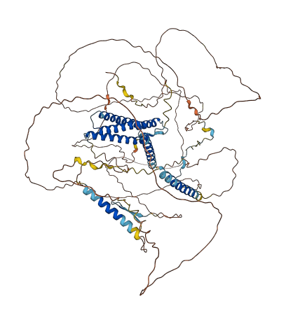 DLGAP5 3D structure