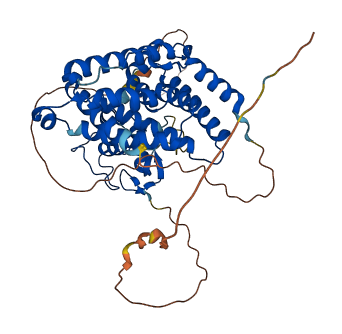 NR6A1 3D structure