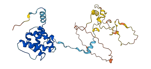 CNN3 3D structure