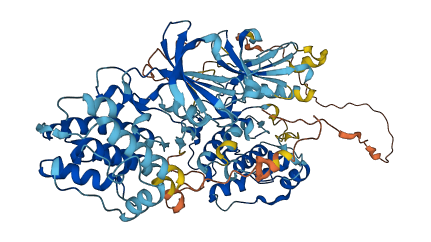 RPS6KA1 3D structure
