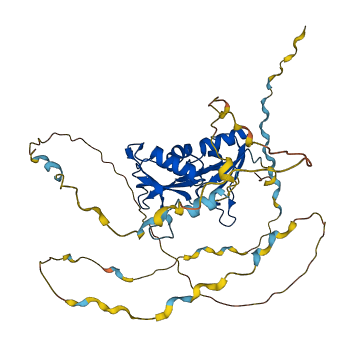 SF3B4 3D structure