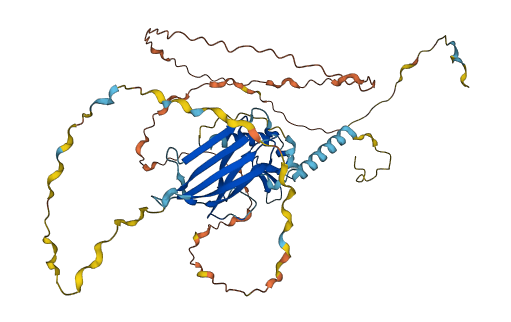 SF3A2 3D structure