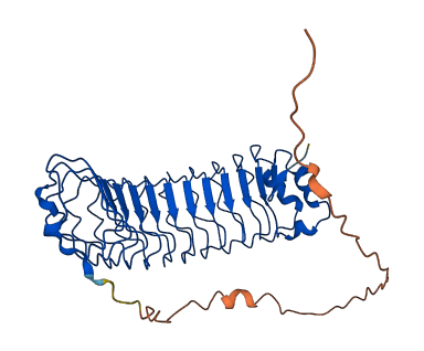 PPP1R7 3D structure