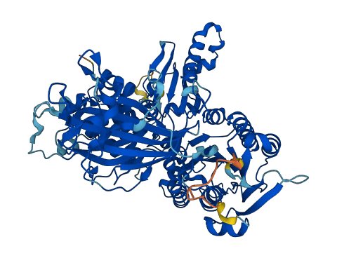 SEC23A 3D structure