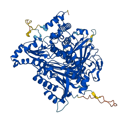 SEC23B 3D structure