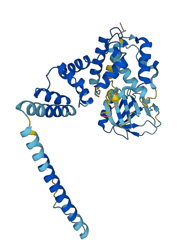CYTH1 3D structure