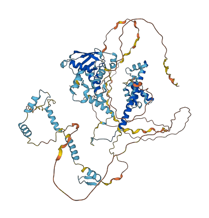 SF3A1 3D structure