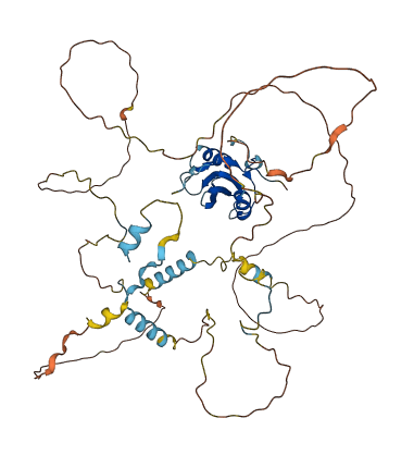 SHB 3D structure