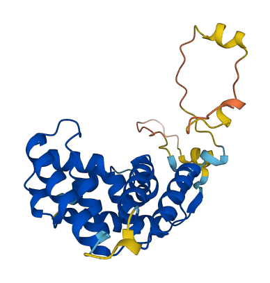 NR0B2 3D structure