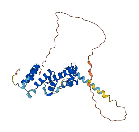 SIX1 3D structure