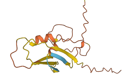 GUSBP1 3D structure