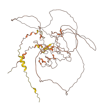 CDSN 3D structure