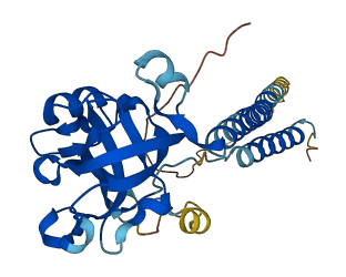 SURF1 3D structure