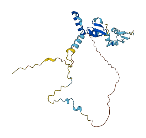 SURF2 3D structure