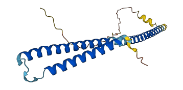 MED22 3D structure