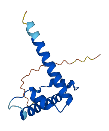 TAF13 3D structure