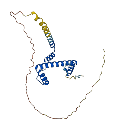 TAF11 3D structure