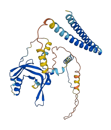 TAF7 3D structure