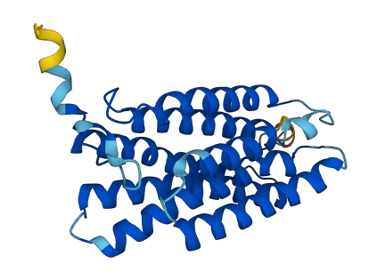 MMD 3D structure