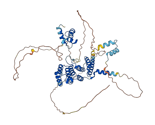 TERF2 3D structure