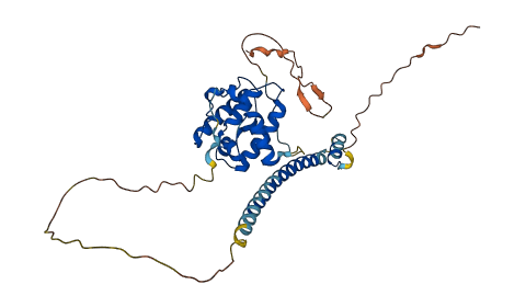 MAPRE2 3D structure
