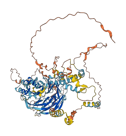 TAF1C 3D structure