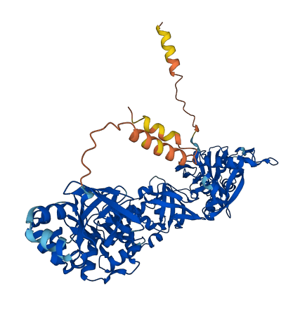 TGFBI 3D structure
