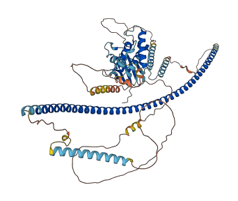 DIXDC1 3D structure