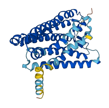 OR1Q1 3D structure