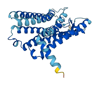 OR4D1 3D structure