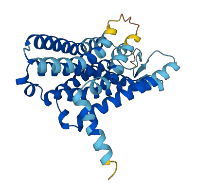 OR1C1 3D structure