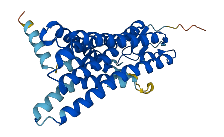 OR8B8 3D structure
