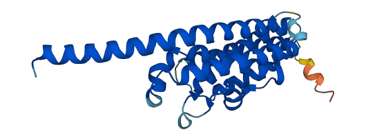 TSN 3D structure