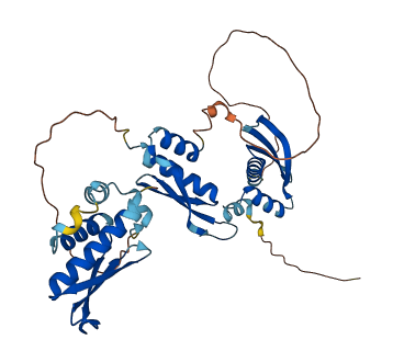 TARBP2 3D structure